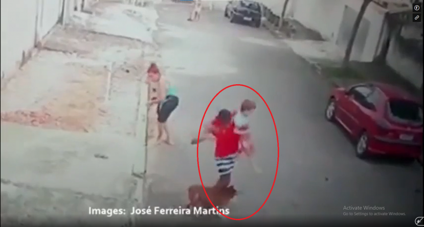 CCTV ghi lại một bé trai tầm 5 tuổi liên tục bị chú chó Pitbull vồ vập cắn vào chân CCTV ghi lại một bé trai tầm 5 tuổi liên tục bị chú chó Pitbull vồ vập cắn vào chân