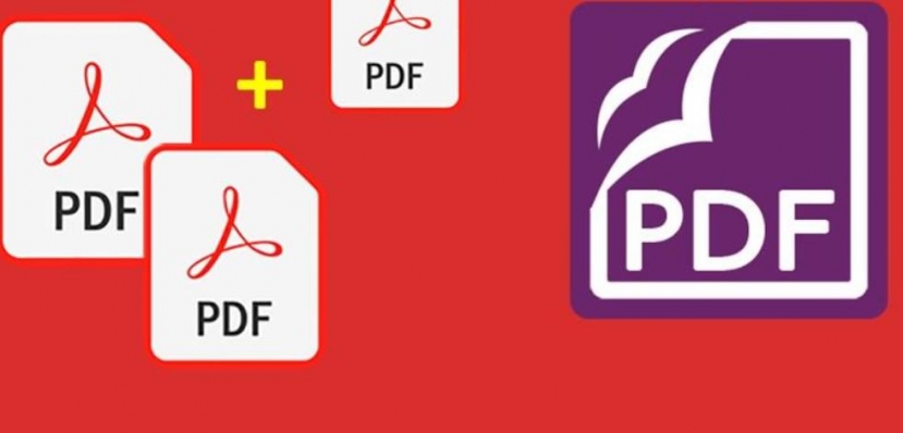 Đổi PDF sang Word dễ dàng và nhanh chóng với No1converter - Ảnh 3 Đổi PDF sang Word dễ dàng và nhanh chóng với No1converter - Ảnh 3