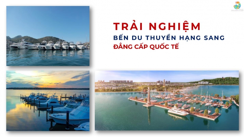 Biệt thự biển tại Hải Phòng “cơn địa chấn” sau đại dịch - Ảnh 6 Biệt thự biển tại Hải Phòng “cơn địa chấn” sau đại dịch - Ảnh 6