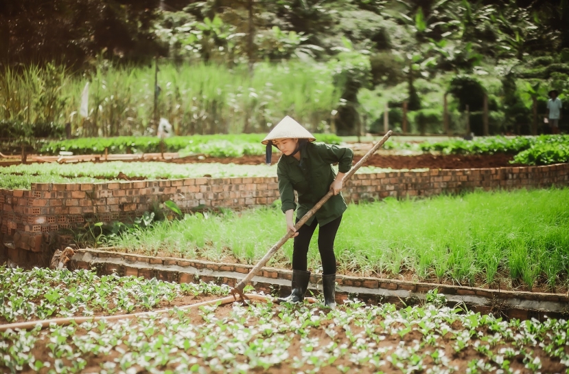 Chị nông dân với vẻ đẹp mặn mà Chị nông dân với vẻ đẹp mặn mà