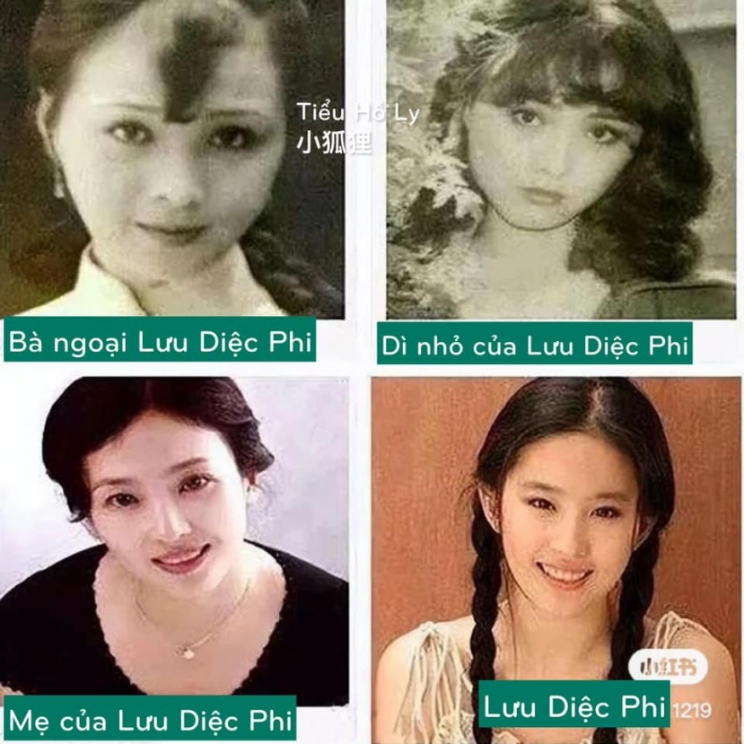 Gia đình 3 thế hệ nhà Lưu Diệc Phi đều sở hữu nhan sắc kinh người. Ảnh FB Tiểu Hồ Ly Gia đình 3 thế hệ nhà Lưu Diệc Phi đều sở hữu nhan sắc kinh người. Ảnh FB Tiểu Hồ Ly