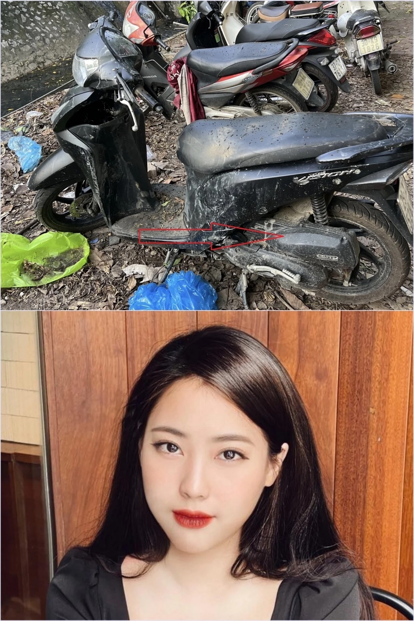 Đội cảnh sát lấy mẫu đất từ xe của Hải Như để dò địa điểm tuy nhiên kết quả chưa thấy gì mới Đội cảnh sát lấy mẫu đất từ xe của Hải Như để dò địa điểm tuy nhiên kết quả chưa thấy gì mới