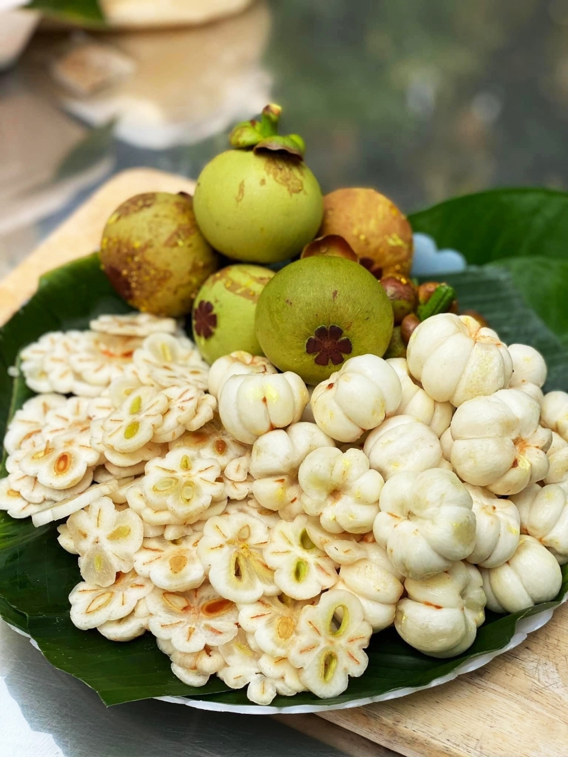 Cơn sốt măng cụt xanh vẫn chưa có dấu hiệu hạ nhiệt Cơn sốt măng cụt xanh vẫn chưa có dấu hiệu hạ nhiệt