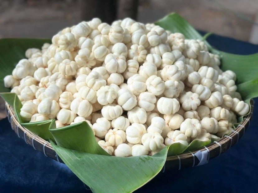Hot rần rần gỏi gà măng cụt, ăn 'bon miệng' nhưng đối tượng sau nên thận trọng tránh rước độc vào thân - Ảnh 1 Hot rần rần gỏi gà măng cụt, ăn 'bon miệng' nhưng đối tượng sau nên thận trọng tránh rước độc vào thân - Ảnh 1