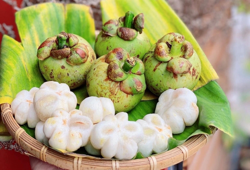 Ăn măng cụt có thể xảy ra phản ứng dị ứng nhẹ Ăn măng cụt có thể xảy ra phản ứng dị ứng nhẹ
