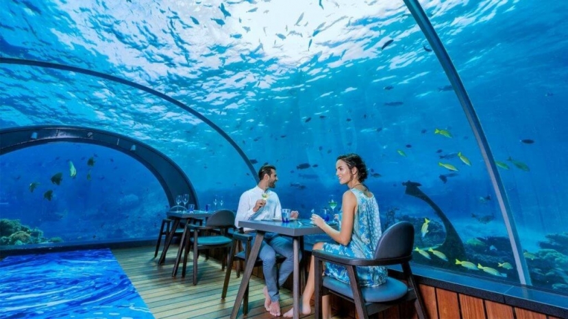 Thế giới dưới nước ở Maldives Thế giới dưới nước ở Maldives