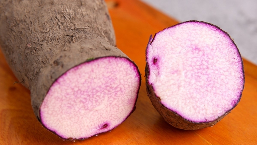 Khoai mỡ không nên ăn sống Khoai mỡ không nên ăn sống