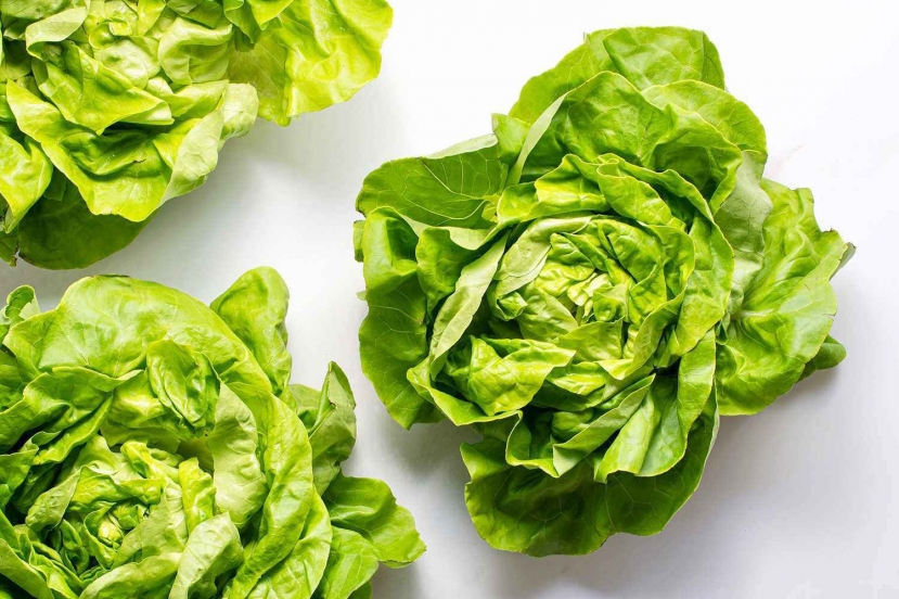 Xà lách đang vào mùa, đừng dại mà ăn khi chưa thuộc lòng những lưu ý 'vàng' này - Ảnh 4 Xà lách đang vào mùa, đừng dại mà ăn khi chưa thuộc lòng những lưu ý 'vàng' này - Ảnh 4