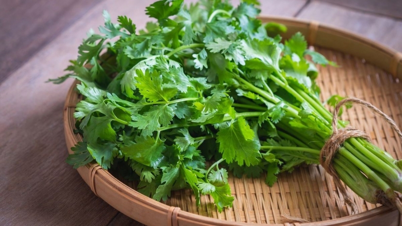 Mùa đông ra chợ né xa những loại rau trái mùa này, chủ quan dễ nhập viện cấp cứu - Ảnh 1 Mùa đông ra chợ né xa những loại rau trái mùa này, chủ quan dễ nhập viện cấp cứu - Ảnh 1