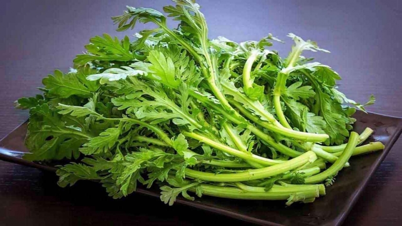 Cải cúc sở hữu các chất dinh dưỡng quan trọng cho sức khỏe Cải cúc sở hữu các chất dinh dưỡng quan trọng cho sức khỏe