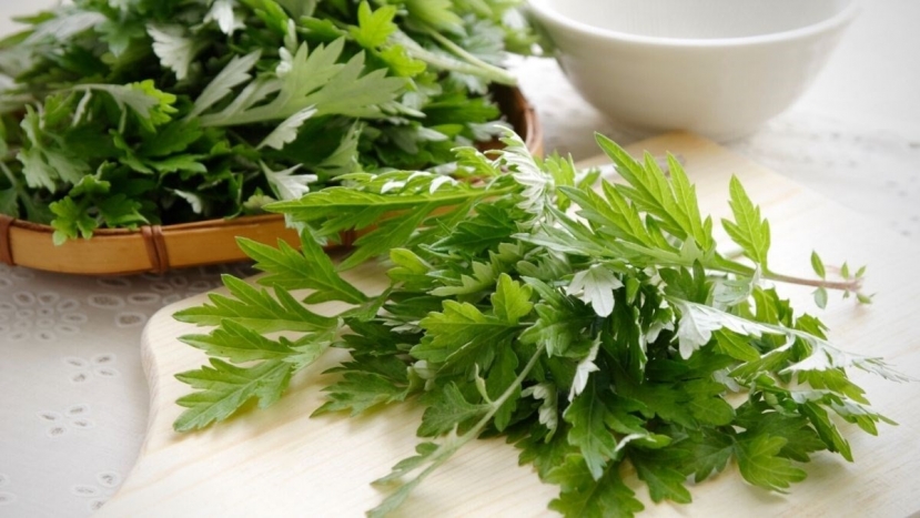 Ngải cứu hầm với thực phẩm này tốt ngang sâm quý, vừa ngon lại rẻ bèo mà công dụng bất ngờ - Ảnh 1 Ngải cứu hầm với thực phẩm này tốt ngang sâm quý, vừa ngon lại rẻ bèo mà công dụng bất ngờ - Ảnh 1