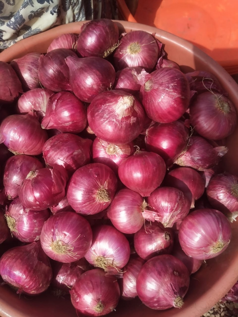 Không chỉ chống ngán hiệu quả, dưa hành muối còn mang đến nhiều lợi ích tuyệt vời đối với sức khỏe Không chỉ chống ngán hiệu quả, dưa hành muối còn mang đến nhiều lợi ích tuyệt vời đối với sức khỏe