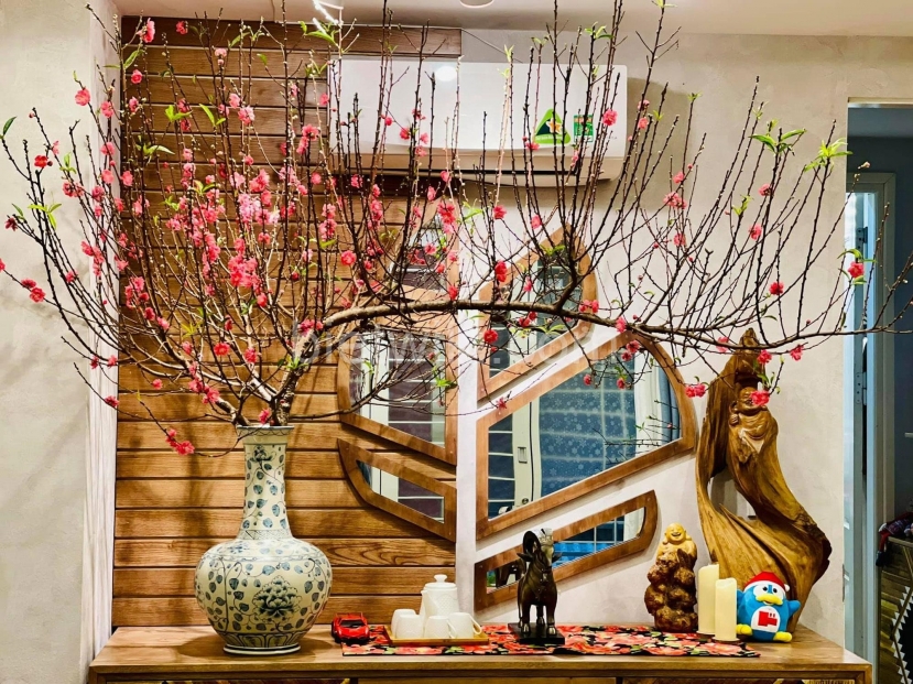 Hoa đào được xem là linh hồn ngày Tết Hoa đào được xem là linh hồn ngày Tết