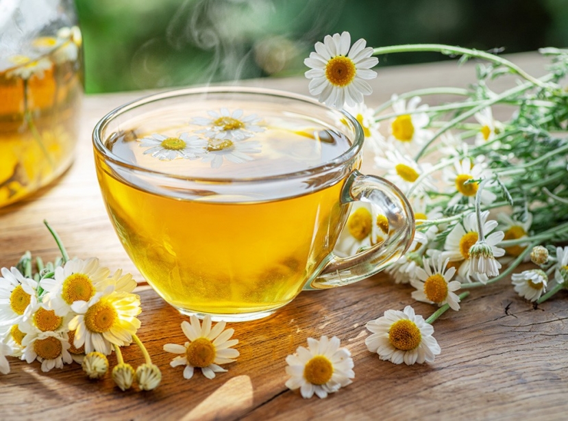 Trà hoa cúc là một loại trà thảo dược phổ biến có thể mang lại nhiều lợi ích cho sức khỏe. Ảnh: internet Trà hoa cúc là một loại trà thảo dược phổ biến có thể mang lại nhiều lợi ích cho sức khỏe. Ảnh: internet