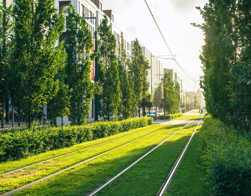 Một buổi tối đẹp trời ở Oslo, ngắm nhìn những tuyến xe điện chạy qua trung tâm thành phố. Ảnh: Getty Images Một buổi tối đẹp trời ở Oslo, ngắm nhìn những tuyến xe điện chạy qua trung tâm thành phố. Ảnh: Getty Images