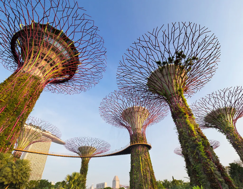 'Siêu cây Grove' trong khu Gardens by the Bay của Singapore. Ảnh:Planet One Images/Universal Images Group/Getty Images 'Siêu cây Grove' trong khu Gardens by the Bay của Singapore. Ảnh:Planet One Images/Universal Images Group/Getty Images
